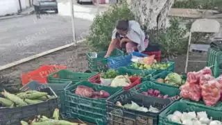 Ejidos de la región abastecen frutas y verduras frescas a la comunidad