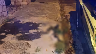 Crece la indignación en Mérida por presunto maltrato animal