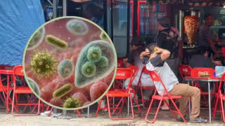 Yucatán no tiene casos de ciclosporiasis, pero se mantiene la vigilancia