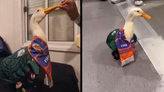 FIFA NO deja entrar al Pato Merlín al Estadio Azteca.