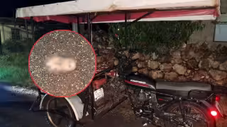 Caída en bache deja a mototaxista sin tres dedos en Hecelchakán, CampecheCaída en bache deja a mototaxista sin tres dedos en Hecelchakán, Campeche