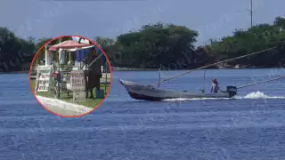 Pese a la baja producción, pescadores de Campeche sostienen capturas de 10 a 15 kilos de pulpo