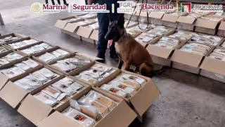 La carga tenía un peso aproximado de una tonelada y estaba declarada como café
