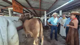 Feria Champotón 2025 abre sus puertas con más de 250 toros y 28 expositores