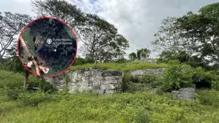 El misterioso vestigio maya que permanece entre la maleza en una colonia de Champotón