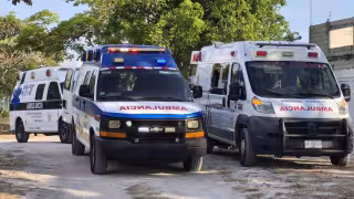 Ataque de abejas deja personas lesionadas en la carretera Carmen–Puerto Real.