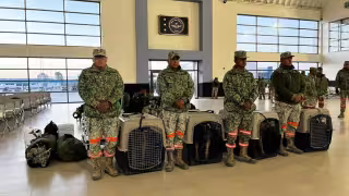 Elementos de la Secretaría de la Defensa Nacional, colaboran en las labores de búsqueda y rescate