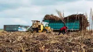 Cañeros de Quintana Roo no logran el acuerdo esperado para préstamo, quieren cobrarles intereses