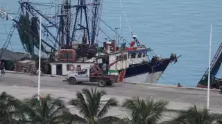 En su mayoría son barcos camaroneros en desuso