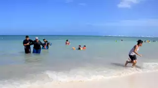 Menores jugaban cerca de donde se encontraba el excremento