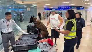 Un binomio canino descubrió el doble fondo de la maleta donde estaba la droga.