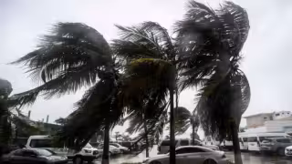Tormenta Tropical Ileana tocará tierra al norte de Sinaloa este sábado 14 de septiembre