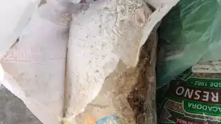 Evidencian mal estado de despensa entregada por DIF de Othón P. Blanco