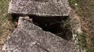 Urge mantenimiento en infraestructura eléctrica de Chetumal