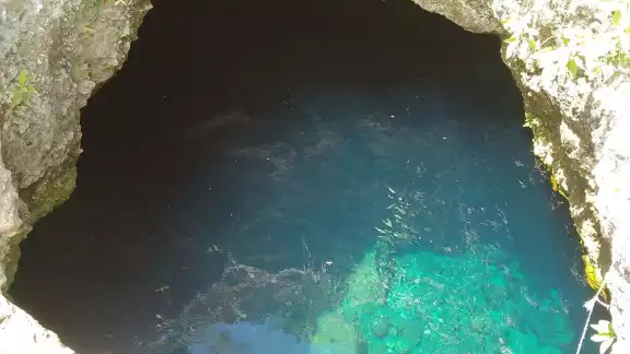 Alumno de la UADY de de Derecho muere ahogado en el cenote de la universidad.