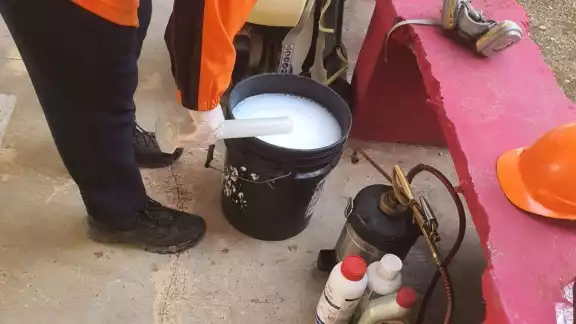 Evacúan estudiantes por plaga de garrapatas en secundaria de Chetumal