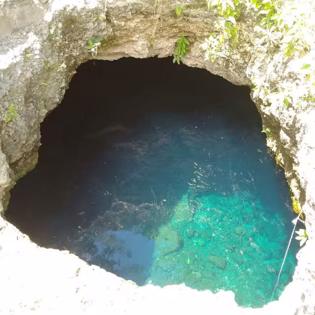 Alumno de la UADY de de Derecho muere ahogado en el cenote de la universidad.