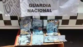 Hallan 10 mil pastillas de fentanilo escondidas en la caja de  una montura de caballo en Sinaloa