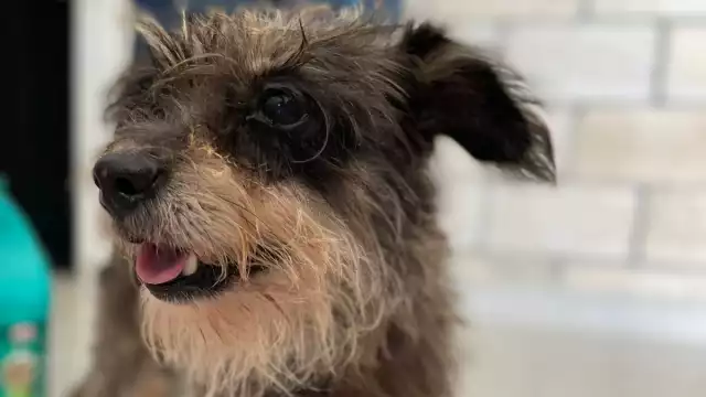 Las autoridades dieron a conocer que ya se hizo la denuncia pertinente a la FGE y una ampliación, estarán al pendiente