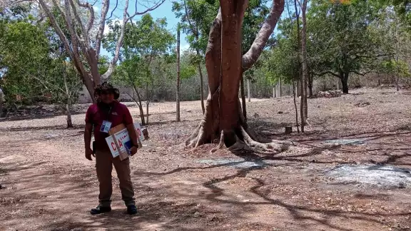 Se investiga ecocidio en Puuc: más de 20 especies afectadas y posibles complicidades Se investiga ecocidio en Puuc: más de 20 especies afectadas y posibles complicidades