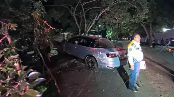 Debido al exceso de velocidad, el conductor chocó contra un árbol, dañando los cables de luz Debido al exceso de velocidad, el conductor chocó contra un árbol, dañando los cables de luz