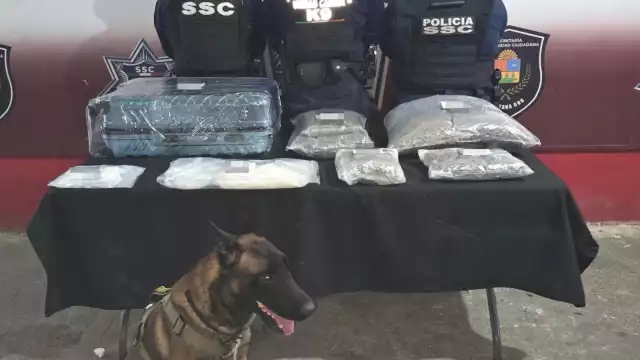 Fue en la zona VIP en donde se realizó el hallazgo de equipaje abandonado