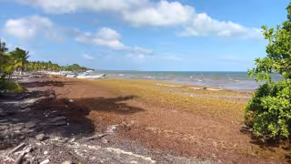 Varias lanchas quedaron ancladas luego que varios hombres del mar dejaron la ínsula.