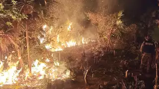 La batalla está lejos de terminar, pese a que laboran de manera coordinada 82 brigadistas de diversas corporaciones