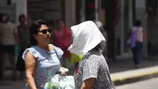 La canícula genera afectaciones en Yucatán