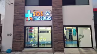 Blindarán a mascotas de Campeche contra malas prácticas veterinarias