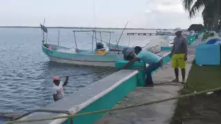 La esperanza de encontrarlos vivos motiva la búsqueda constante