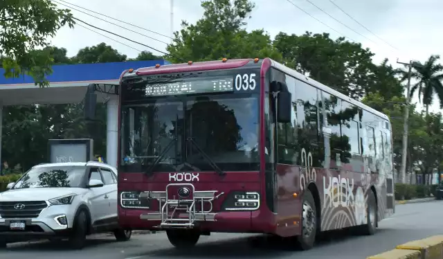 Artec ajusta sistema de transporte y suma a escuelas particulares