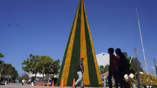  Magia de la Navidad llega a Campeche: ¿Cuándo encienden el árbol en la capital? 