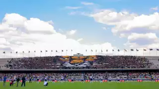 El mosaico de lo felinos