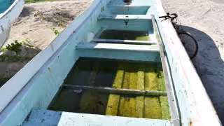 Lanchas abandonadas en Progreso acumulan agua y basura; temen proliferación de moscos