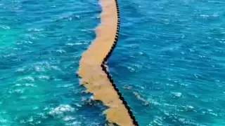 Colocan barrera antisargazo en Playa del Carmen, ¿en dónde se encuentra?