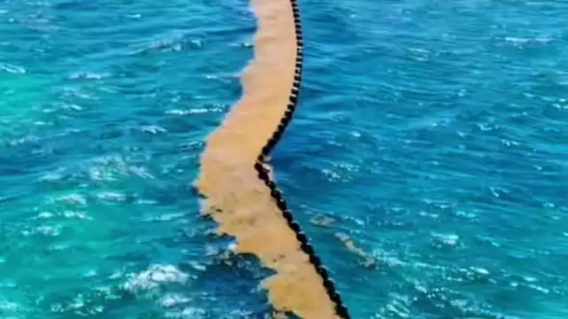 La barrera evita la llegada del sargazo a la orilla de las playas, manteniéndolas limpias