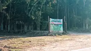 Estas personas fueron contratadas para cuidar predios durante el auge de los terrenos nacionales hace alrededor de 30 años