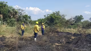 Protección Civil refuerza vigilancia por incendios en Laguna de Términos