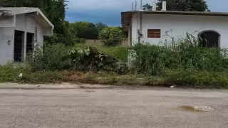Arrojan vísceras en calle de Champotón y olores putrefactos invaden viviendas