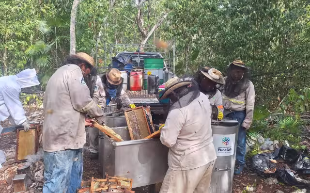 Contaminación en Suc Tuc y Crucero Oxa eleva casos de cáncer y daños a apiarios