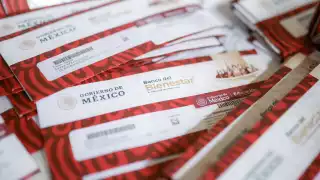   ¿Vas a entrar a la universidad? Yucatecos pueden solicitar esta Beca del Bienestar  