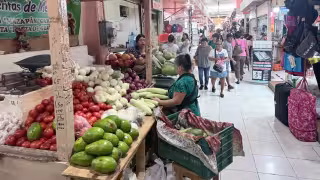 Yucatán aprovecha su producción agrícola: estas son las frutas y verduras recomendadas para julio y agosto