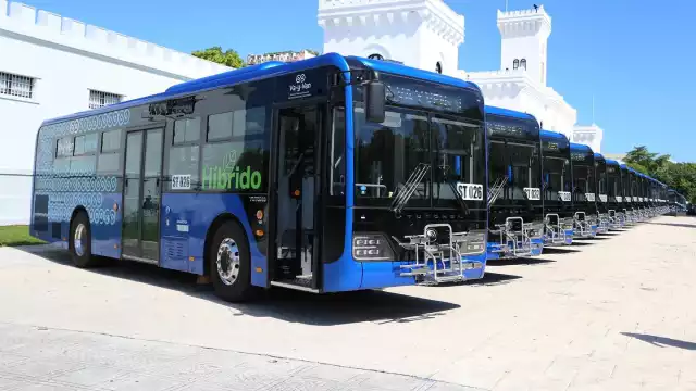 El Va y Ven seguirá integrando nuevas rutas en Mérida