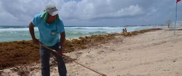 En cinco meses, Benito Juárez captó 332.9 mdp por el derecho que pagan los turistas por hospedaje