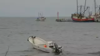 El evento se hizo viral en redes sociales