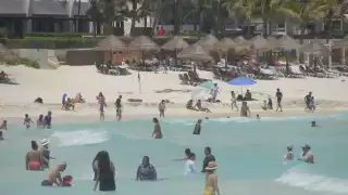 Especialistas indican que los pocos remanentes recalaron por la acción del Huracán Beryl.