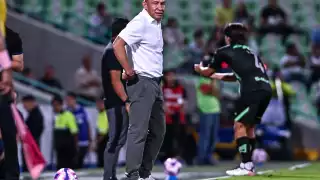 El estratega se hace un lado del proyecto