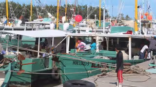 Caída de la pesca y veda de langosta podrían disparar los índices delictivos en Progreso