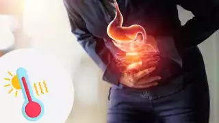 Cómo prevenir infecciones intestinales: la guía oficial para cuidarte del calor extremo